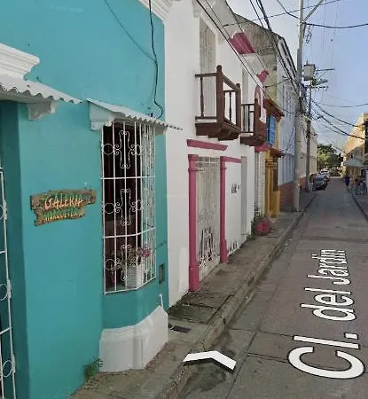 Casa Jardin
